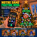 NDFI Smart Christmas Tree Lights TMH